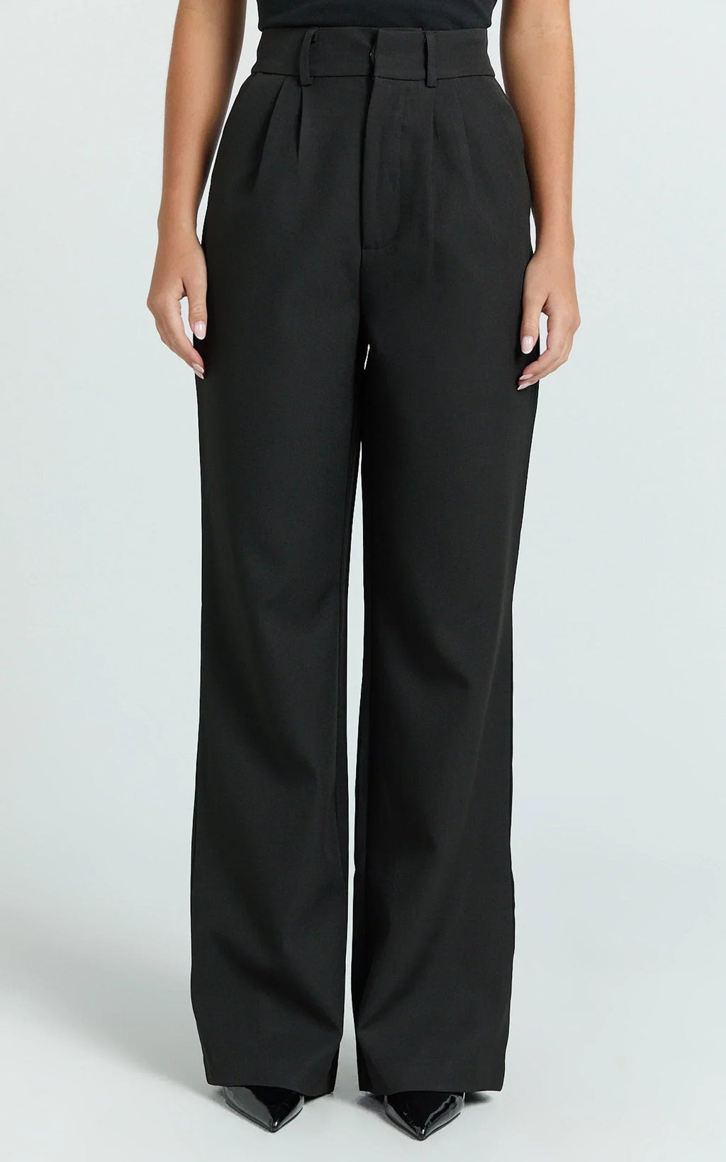 Melissa Pants - Pleat Front Wide Leg Tailored Pants in Black