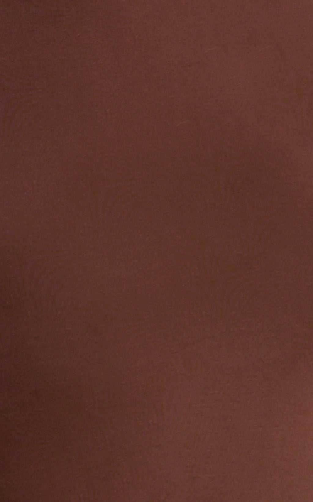 Caitlyn Top - High Neck Sleeveless Tank Top in Chocolate