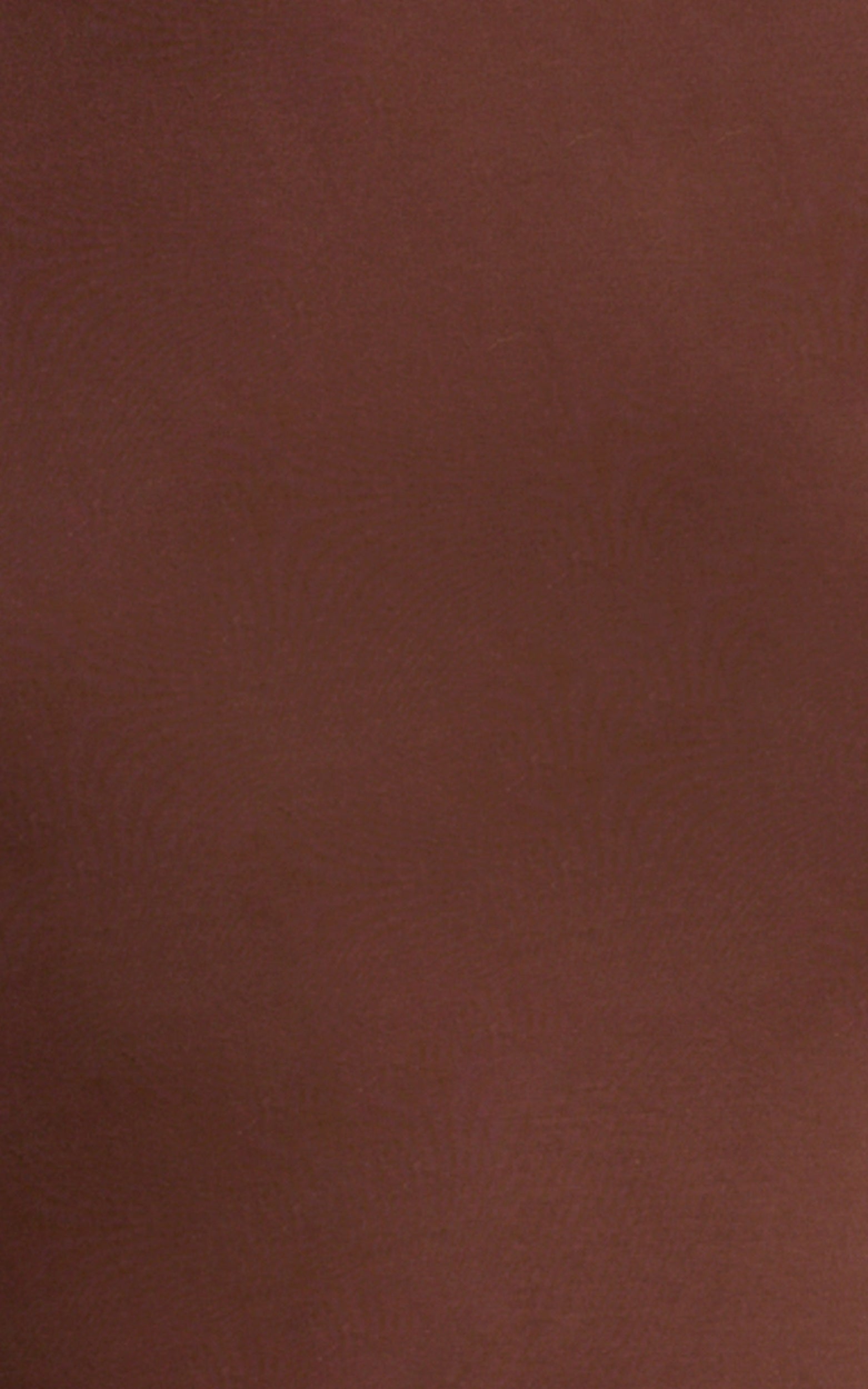 Caitlyn Top - High Neck Sleeveless Tank Top in Chocolate