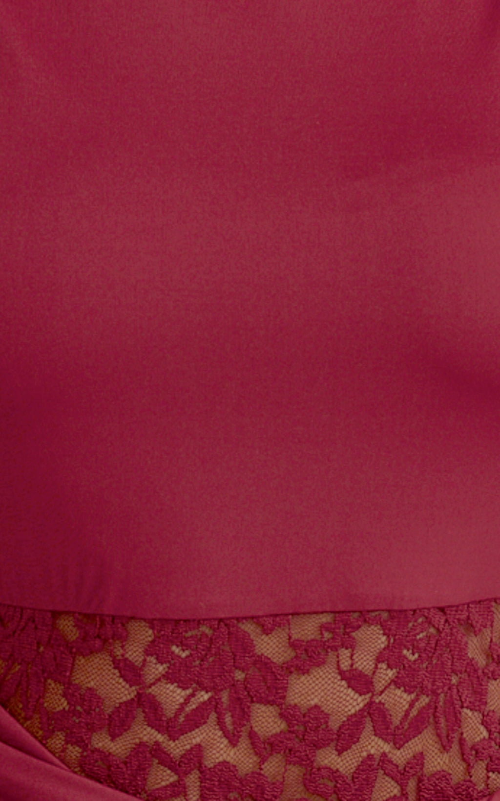 Alberta Maxi Dress - Spliced Sheer Lace Column Dress in Wine