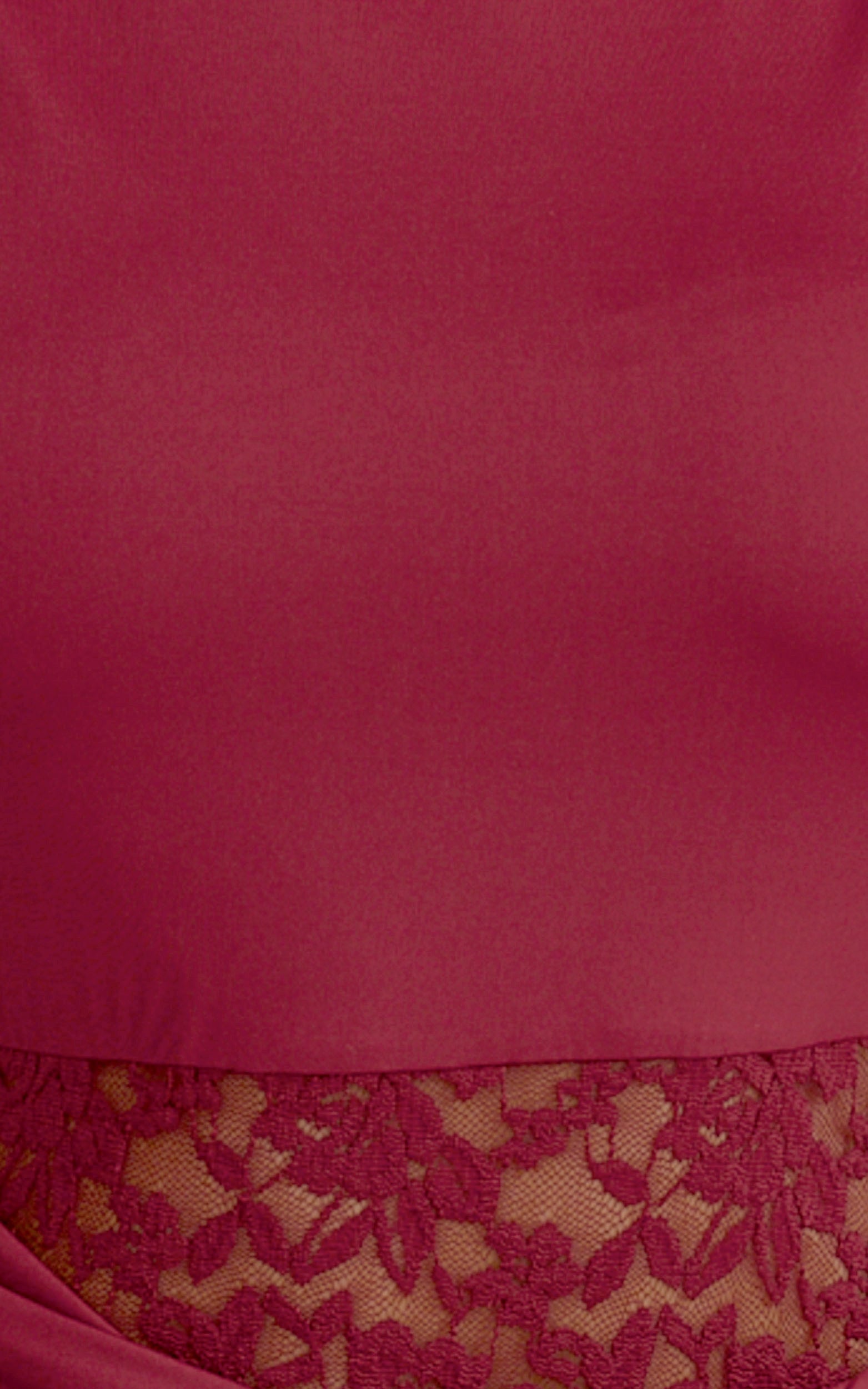 Alberta Maxi Dress - Spliced Sheer Lace Column Dress in Wine