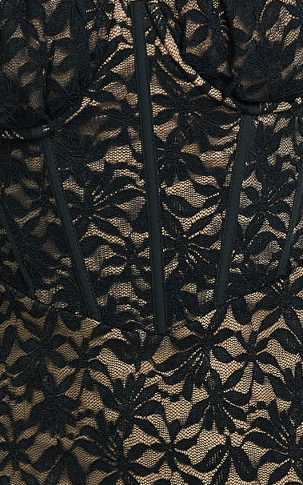 Aerilyn Maxi Dress - Lace Corset Front Fitted Dress in Black