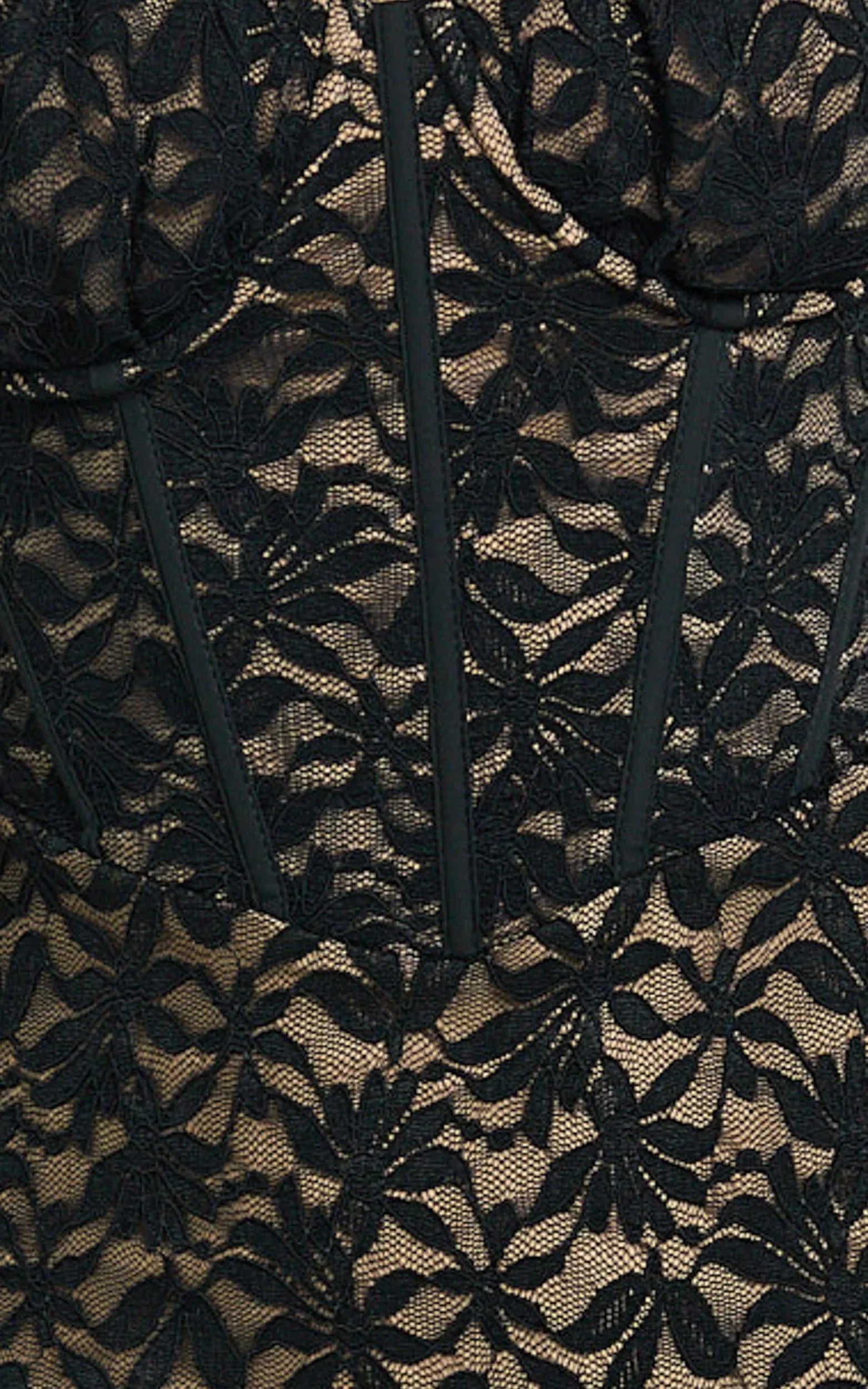 Aerilyn Maxi Dress - Lace Corset Front Fitted Dress in Black