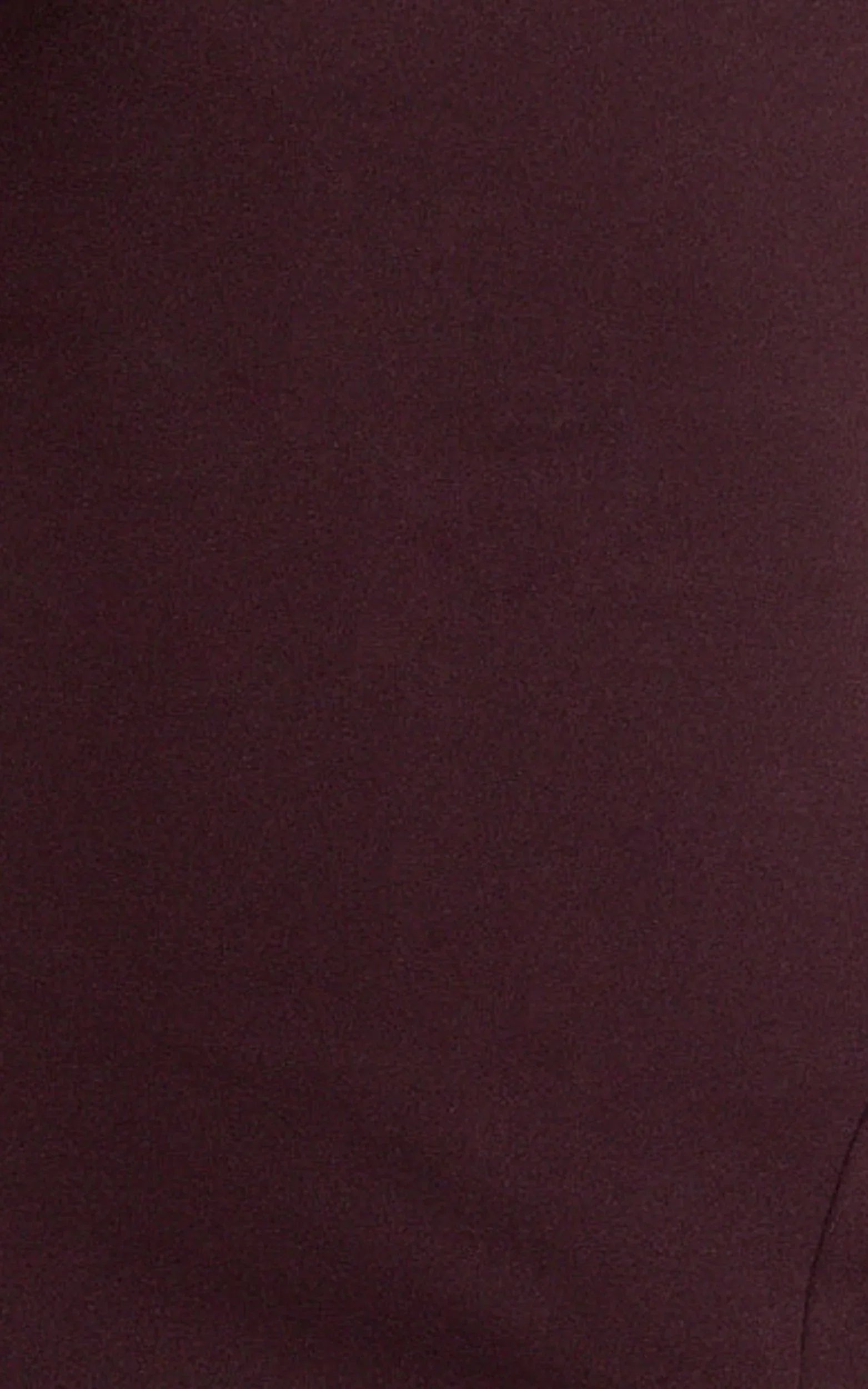 Raya Maxi Dress - Deep V Neck Low Back Bodycon Dress in Wine
