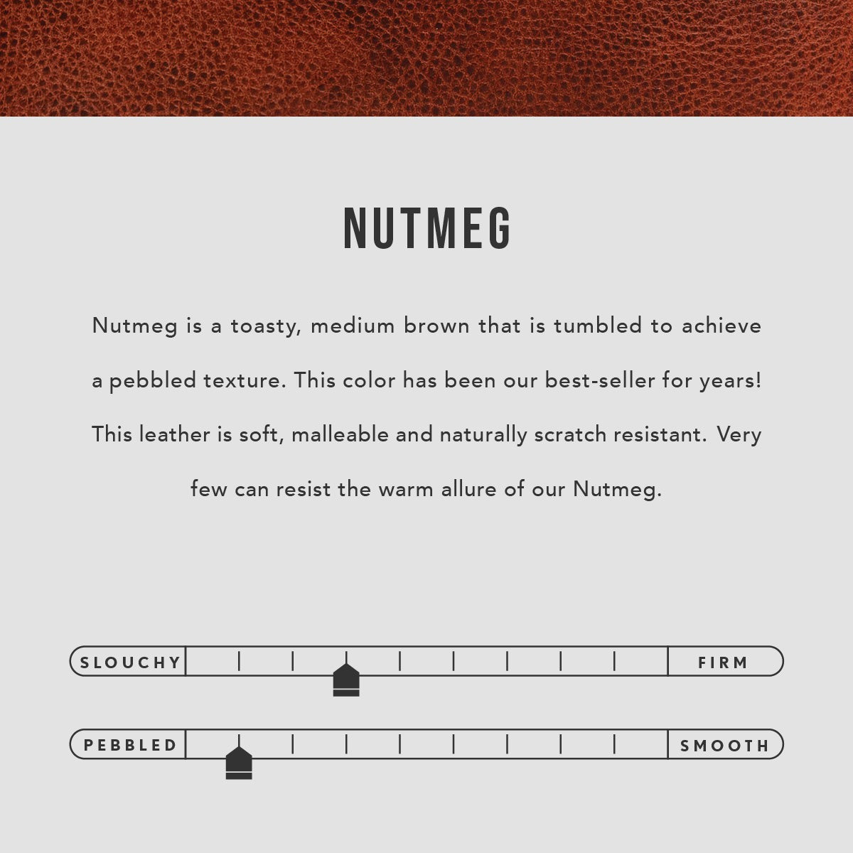 Seashell Pouch