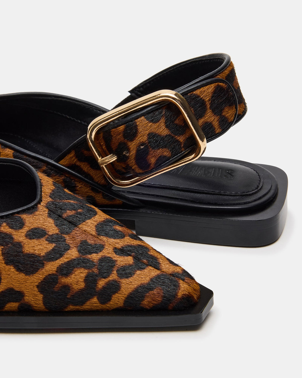SHAY LEOPARD