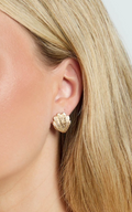 Stephanie Shell Earrings in Gold