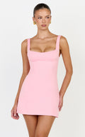 Zaria Mini Dress - Panel Dress in Pink
