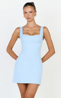 Zaria Mini Dress - Panel Dress in Blue