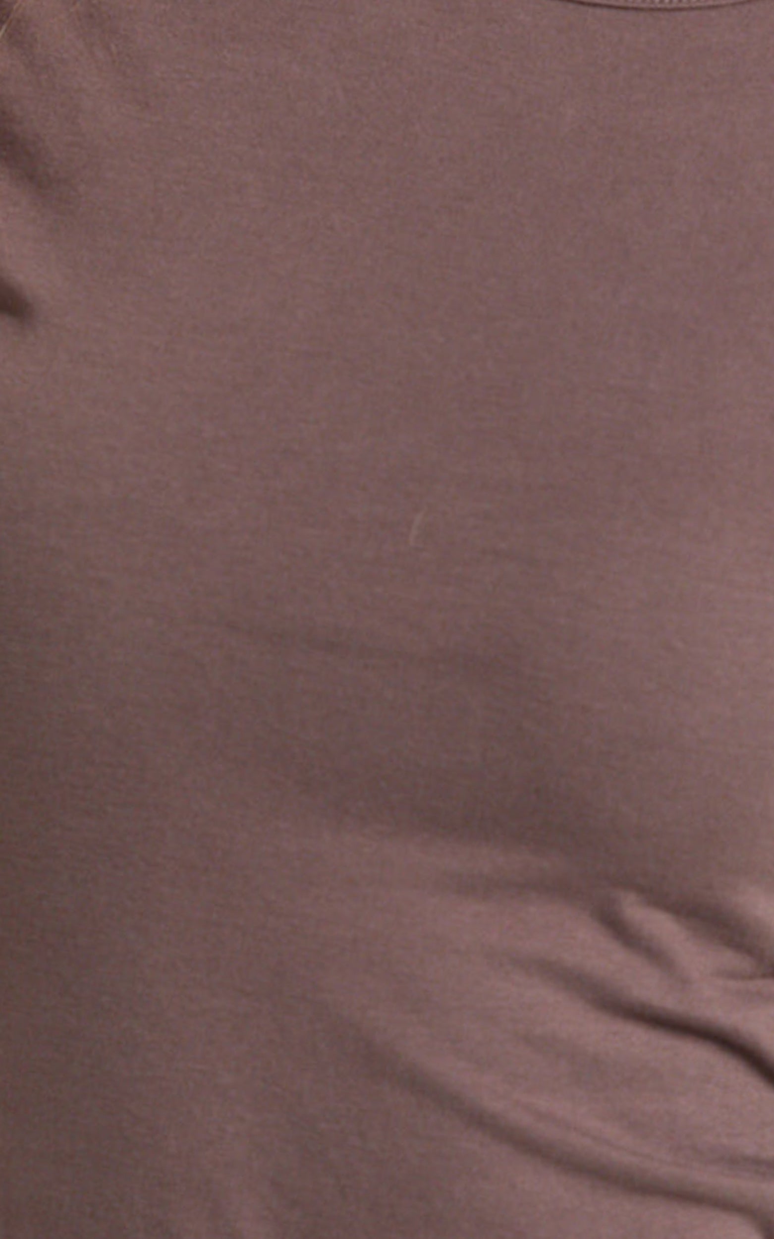 Whitney Tee Shirt - High Crew Neck in Chocolate