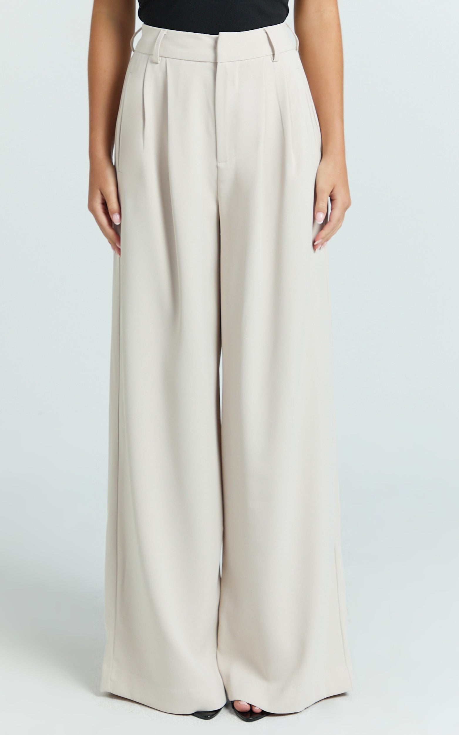 Xandria Pants - Double Pleated Wide Leg Pants in Stone