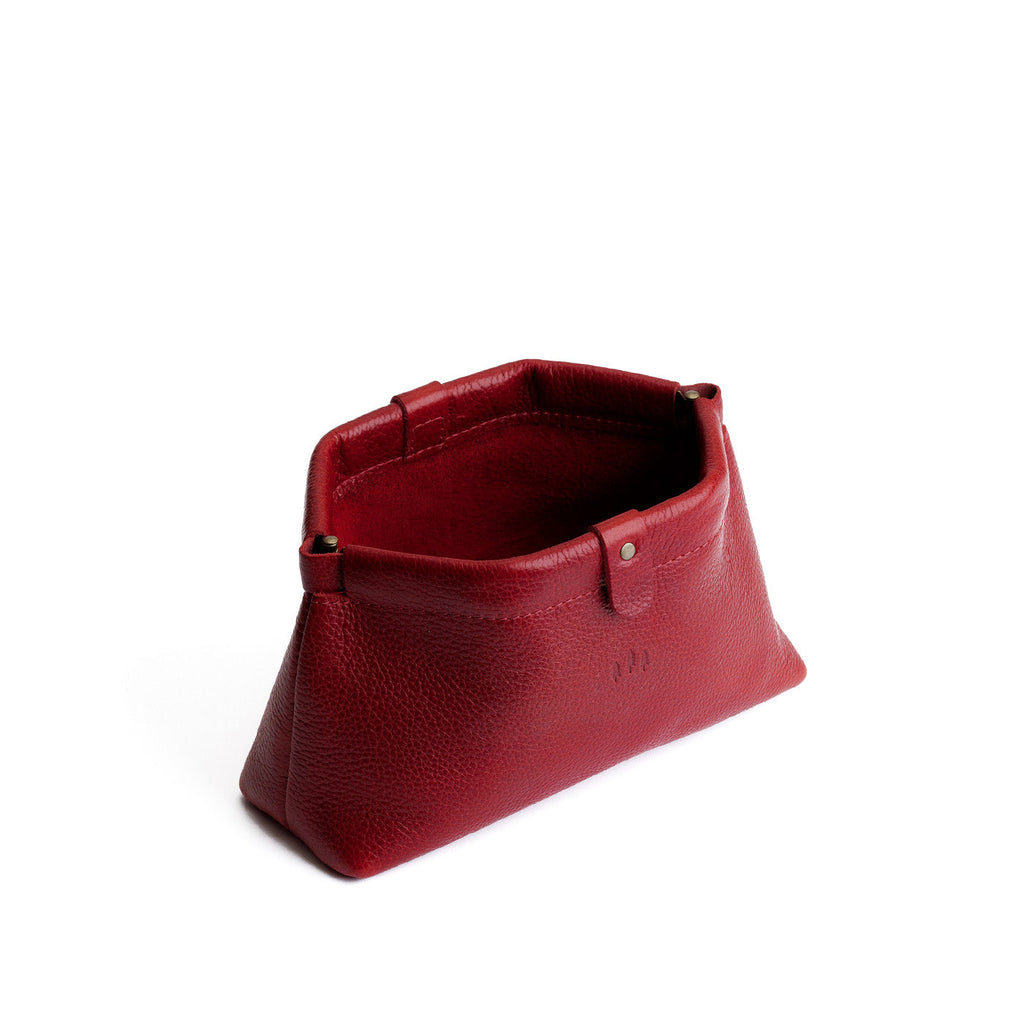 Famed Framed Pouch