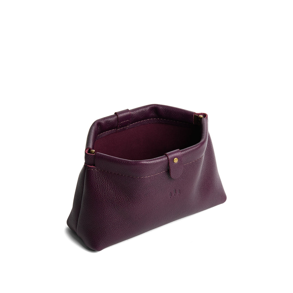 Famed Framed Pouch